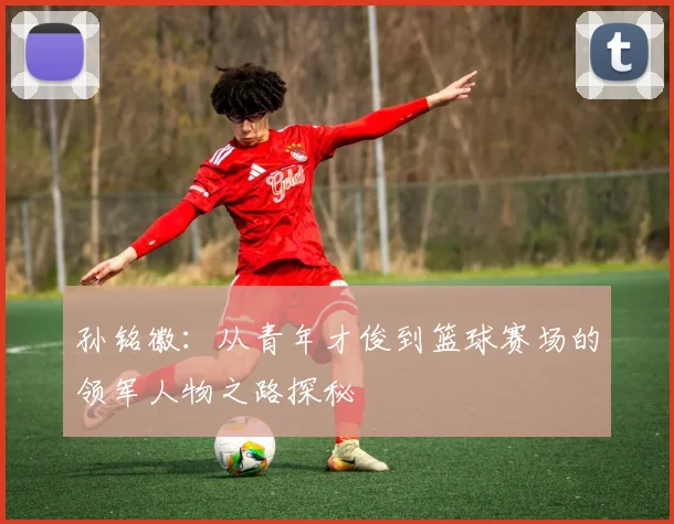 孙铭徽：从青年才俊到篮球赛场的领军人物之路探秘