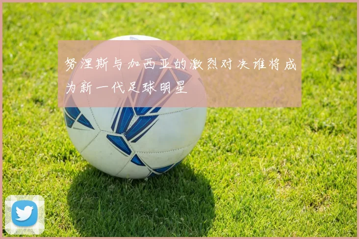 努涅斯与加西亚的激烈对决谁将成为新一代足球明星