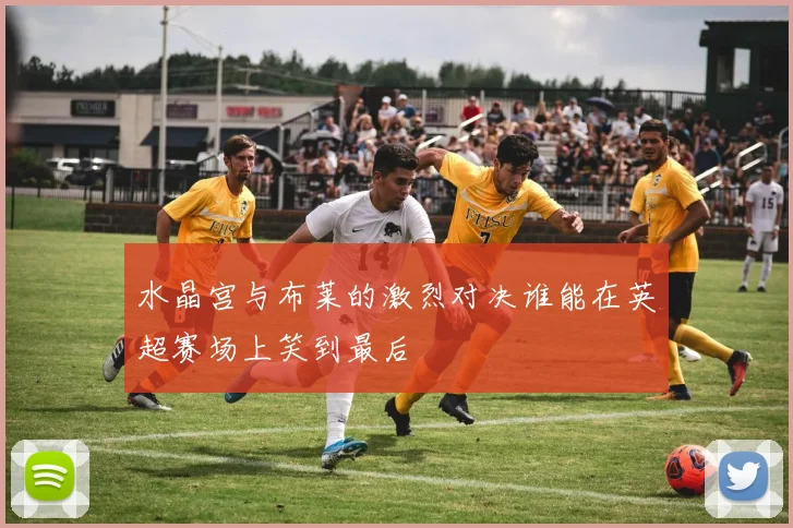 水晶宫与布莱的激烈对决谁能在英超赛场上笑到最后