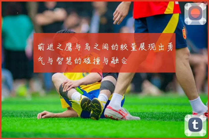 前进之鹰与乌之间的较量展现出勇气与智慧的碰撞与融合