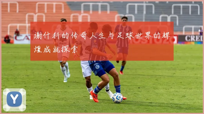 谢什科的传奇人生与足球世界的辉煌成就探索
