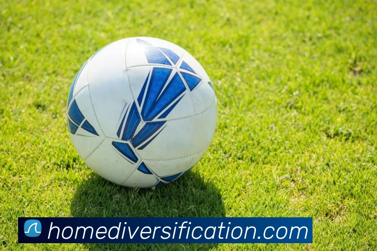 豪门国际服务体系